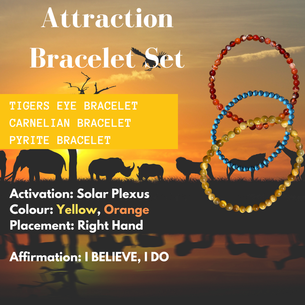 Attraction Bracelet Set